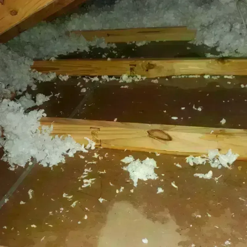 Attic Water Damage in Village Green-Green Ridge, PA